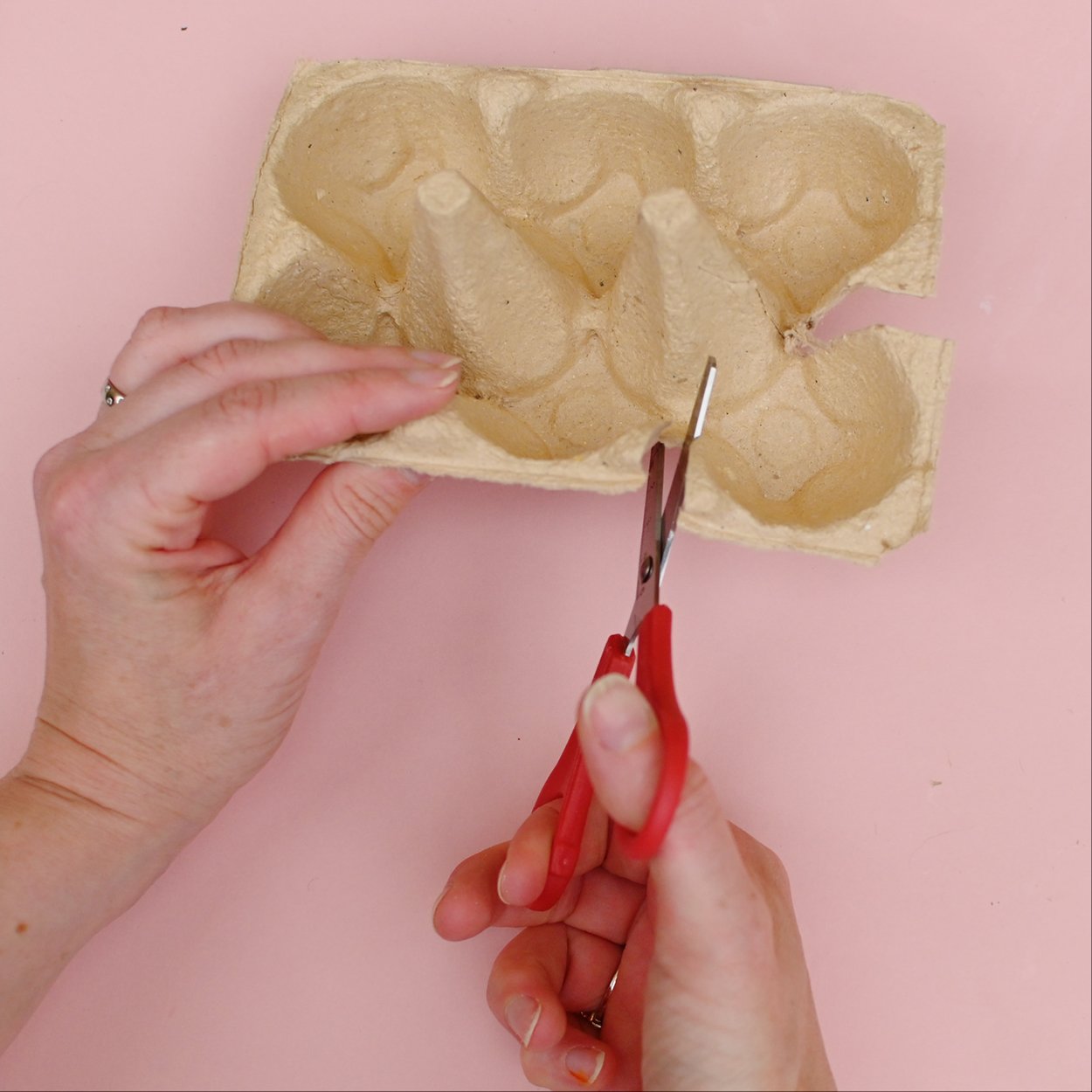 Image shows someone cutting into an egg carton.
